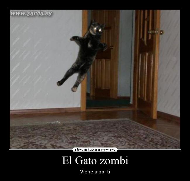 El Gato zombi - Viene a por ti