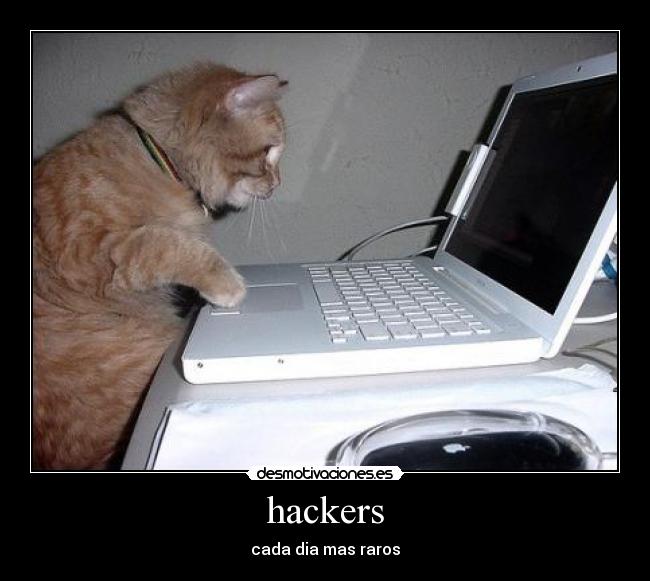 hackers - 