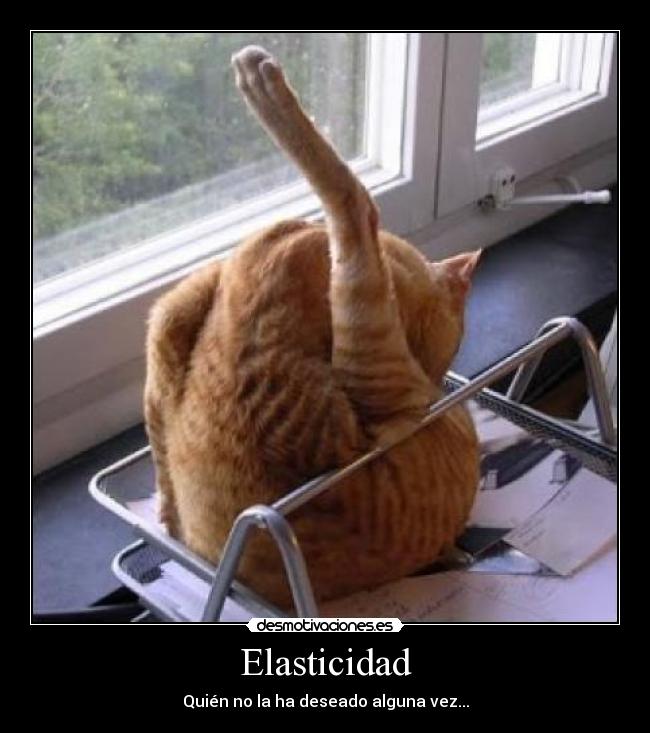 Elasticidad -