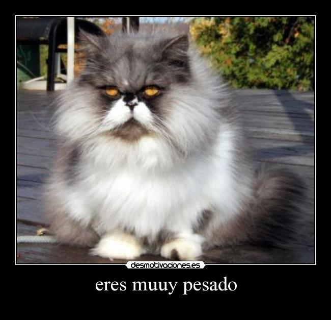 eres muuy pesado -
