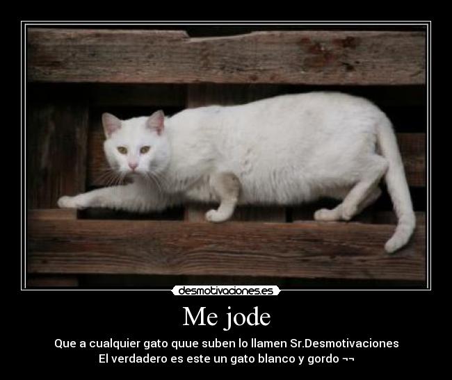 Me jode - Que a cualquier gato quue suben lo llamen Sr.Desmotivaciones
El verdadero es este un gato blanco y gordo ¬¬