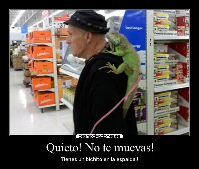 carteles higuana desmotivaciones