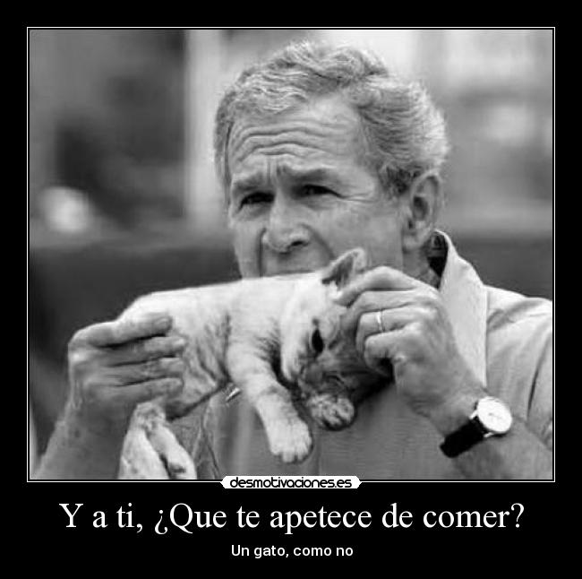 carteles george bush desmotivaciones