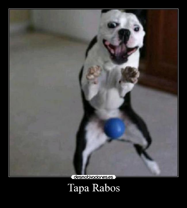 Tapa Rabos -