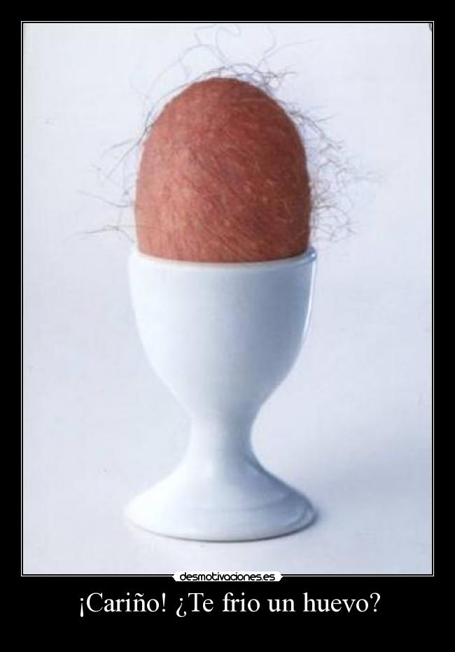 carteles huevo desmotivaciones