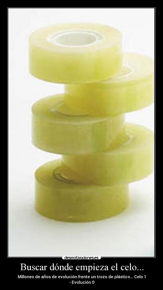 Buscar dónde empieza el celo... - Millones de años de evolución frente un trozo de plástico... Celo 1 - Evolución 0