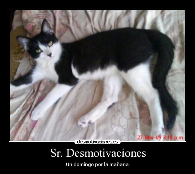 Sr. Desmotivaciones - 