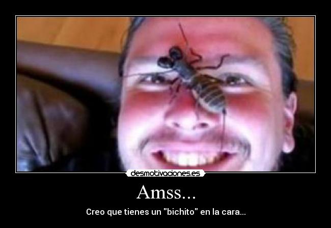 Amss... - Creo que tienes un bichito en la cara...