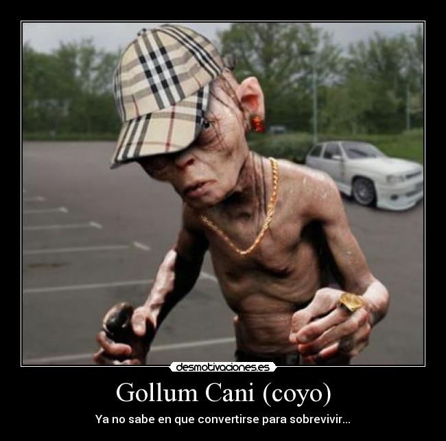 Gollum Cani (coyo) -