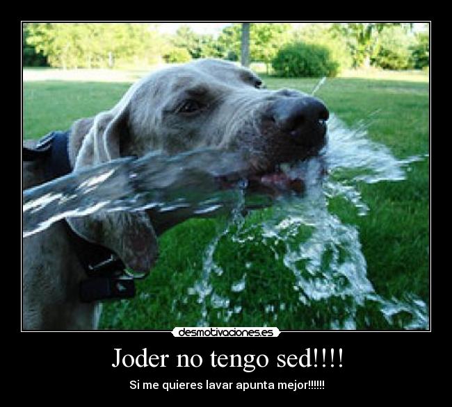 Joder no tengo sed!!!! - 