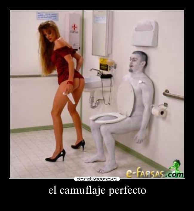 el camuflaje perfecto - 