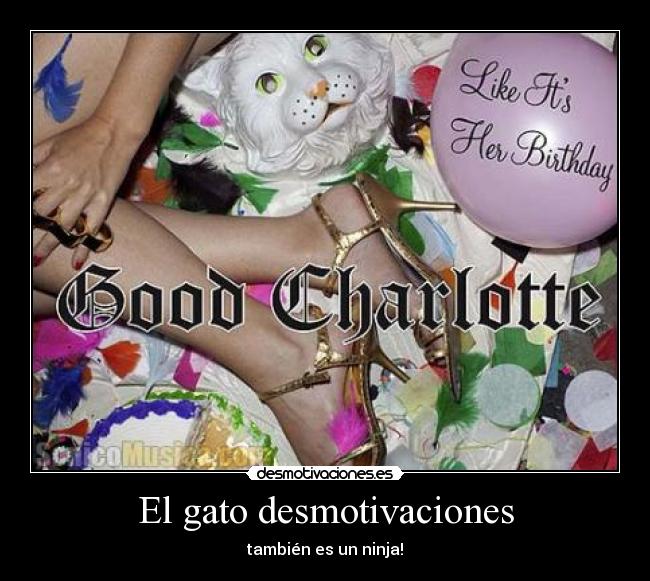 El gato desmotivaciones - también es un ninja!