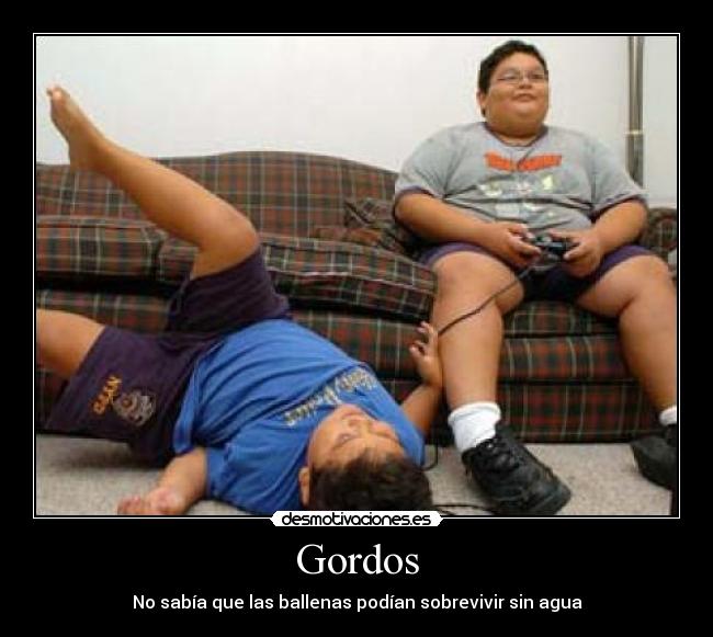 Gordos -