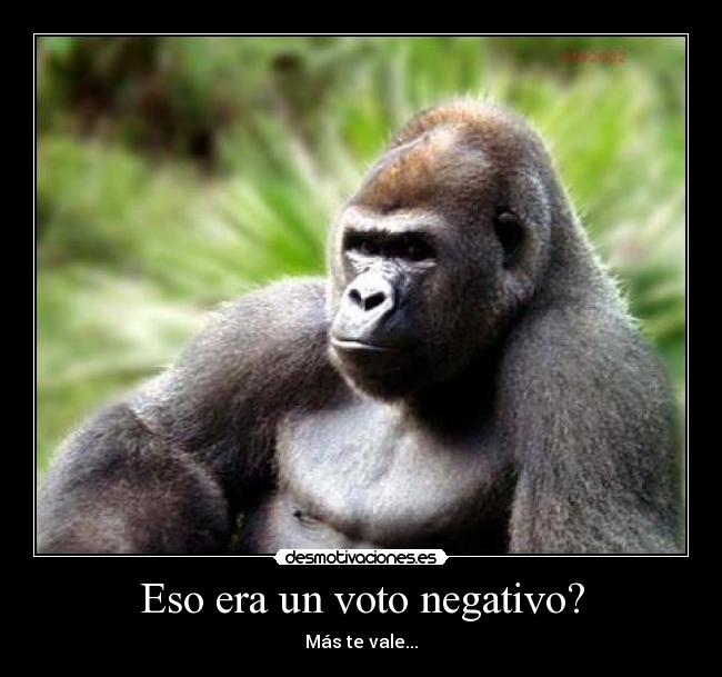 Eso era un voto negativo? - 