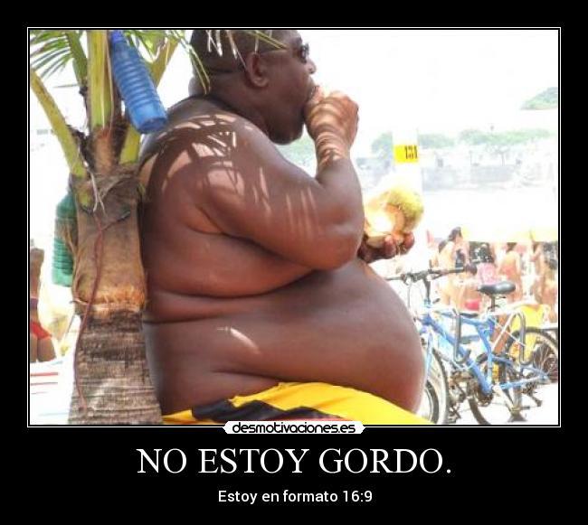 NO ESTOY GORDO. - 