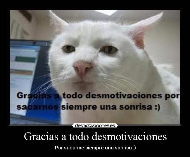 Gracias a todo desmotivaciones - 