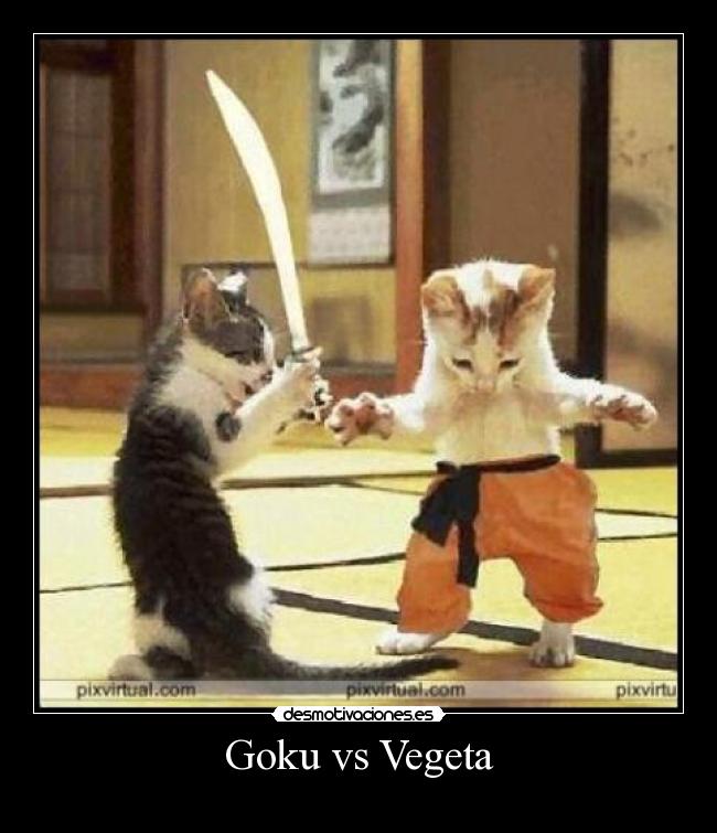 Goku vs Vegeta -