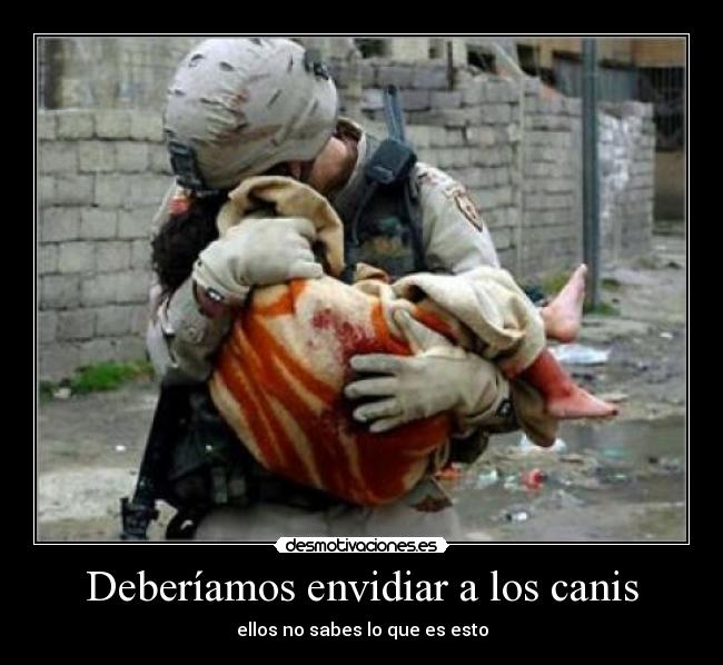 Deberíamos envidiar a los canis - 