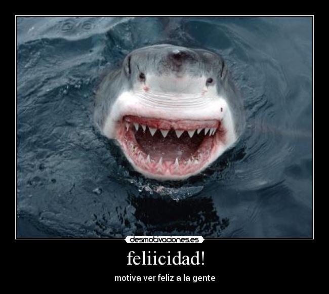 carteles felicidad desmotivaciones