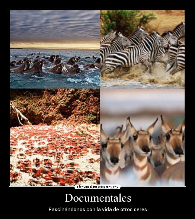 Documentales -