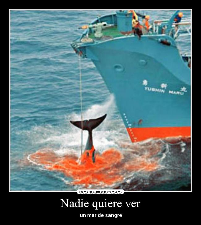 Nadie quiere ver - un mar de sangre