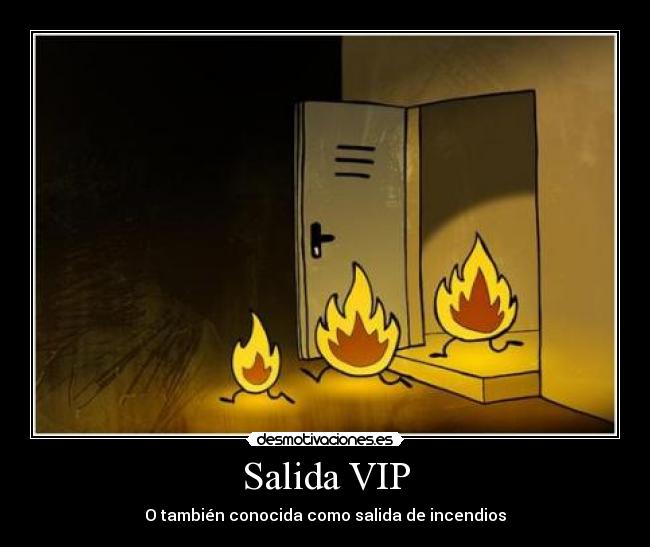 carteles llamitas desmotivaciones