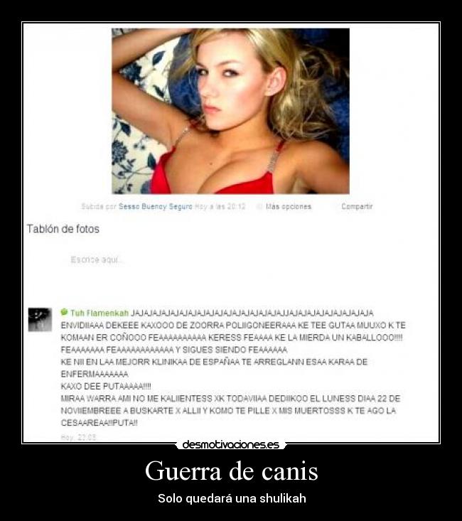 carteles guerra guerra canis shulikah cesarea desmotivaciones