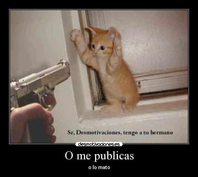 carteles desmotivaciones