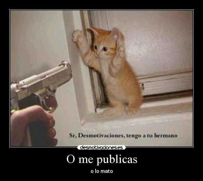 O me publicas - 