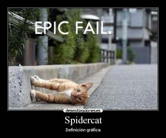 Spidercat -