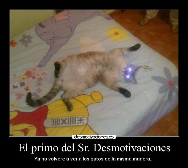 El primo del Sr. Desmotivaciones - 