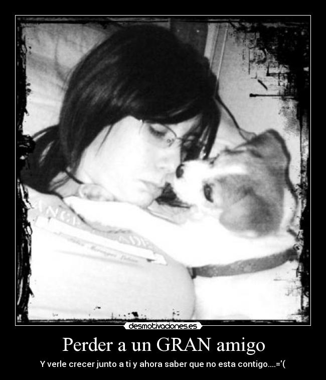 carteles perro desmotivaciones