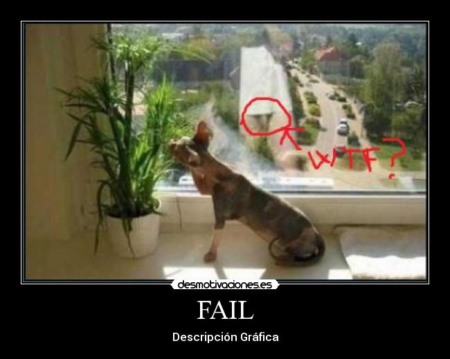 FAIL - Descripción Gráfica
