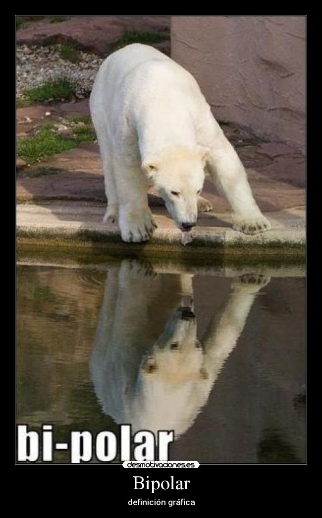 Bipolar - 