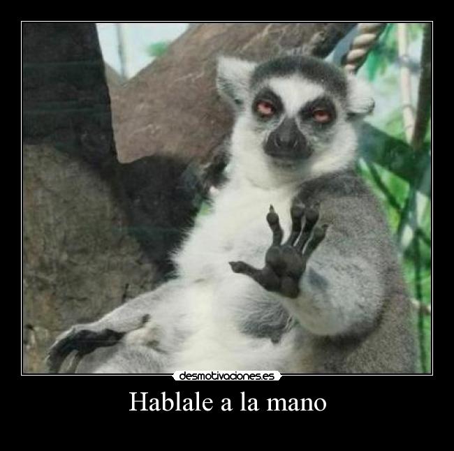 Hablale a la mano - 