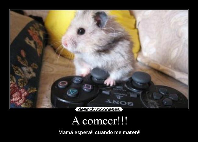 carteles hamster desmotivaciones