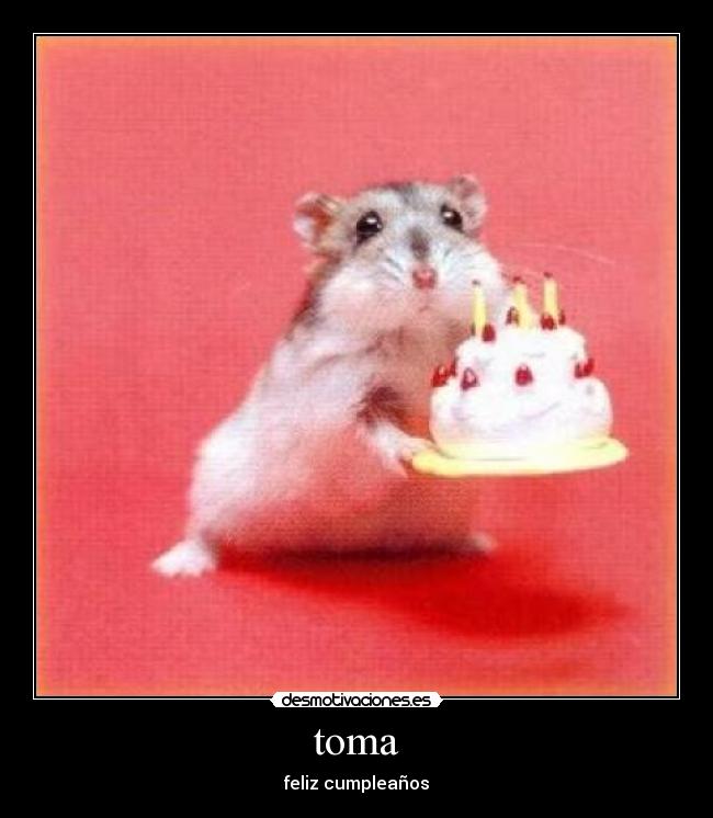 toma - feliz cumpleaños