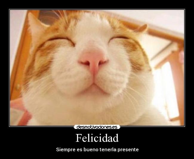 Felicidad - 