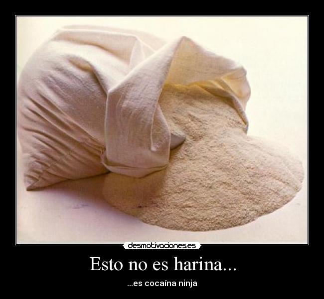 carteles harina no cocaina ninja desmotivaciones