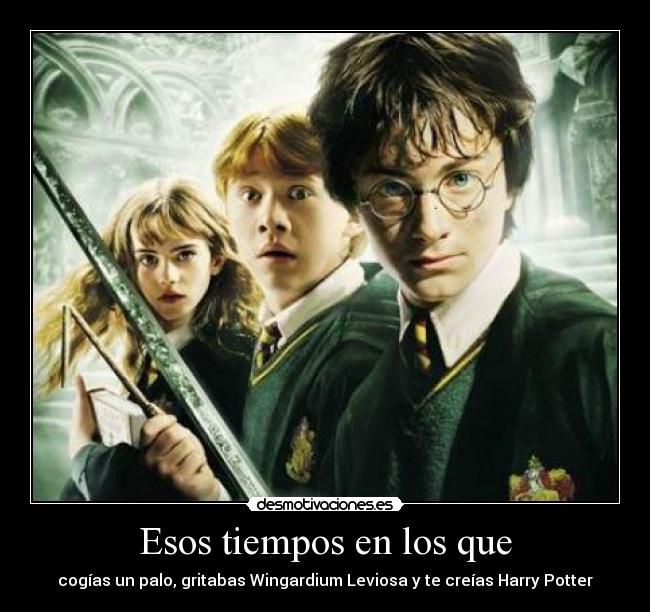 carteles esos tiempos los que wingardium leviosa kirssar desmotivaciones