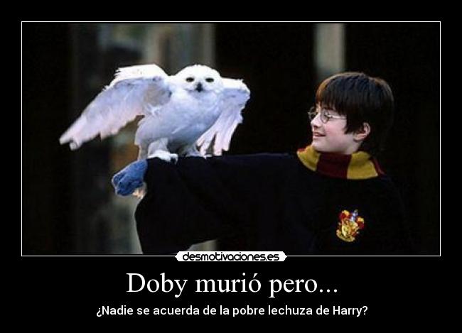 Doby murió pero... - ¿Nadie se acuerda de la pobre lechuza de Harry?