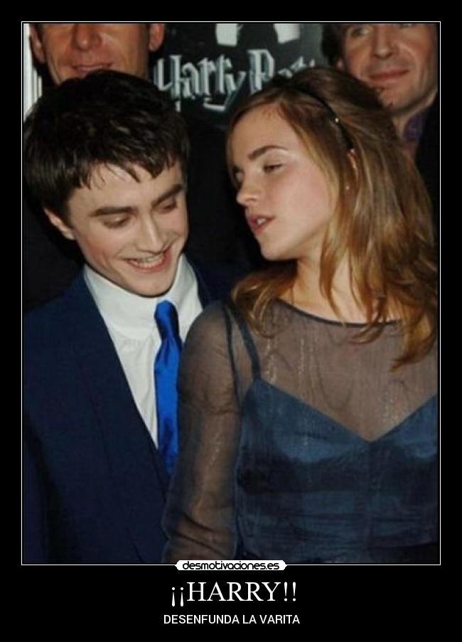 ¡¡HARRY!! - DESENFUNDA LA VARITA