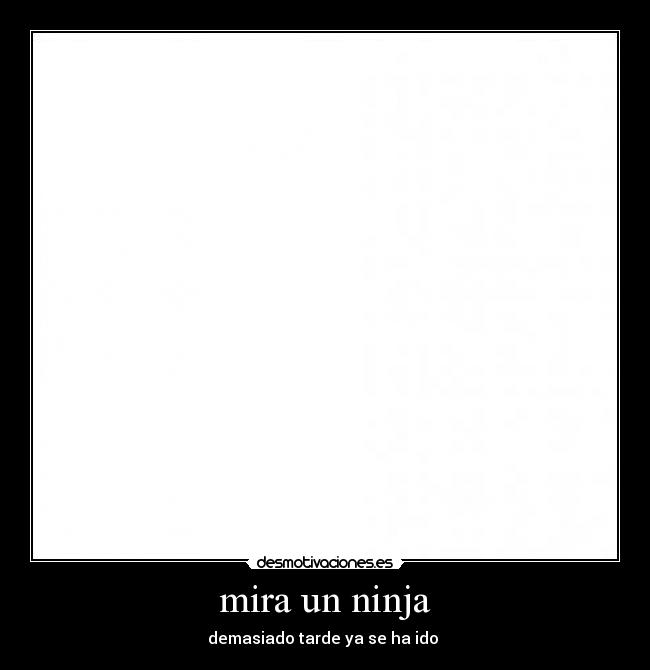 mira un ninja - demasiado tarde ya se ha ido