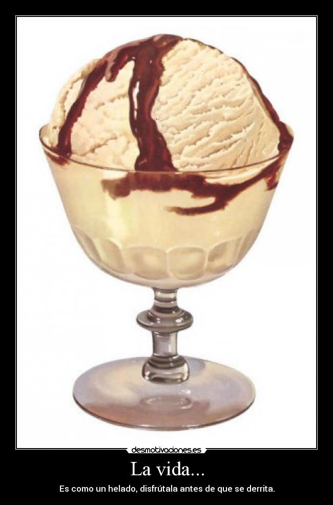 carteles vida vida desmotivaciones