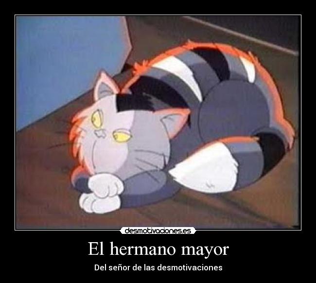 carteles gatoshermano mayor senor las desmotivaciones desmotivaciones