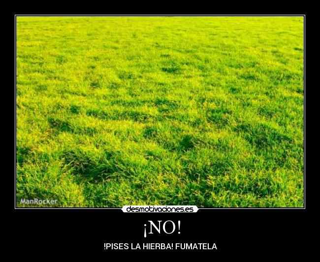 carteles maria desmotivaciones