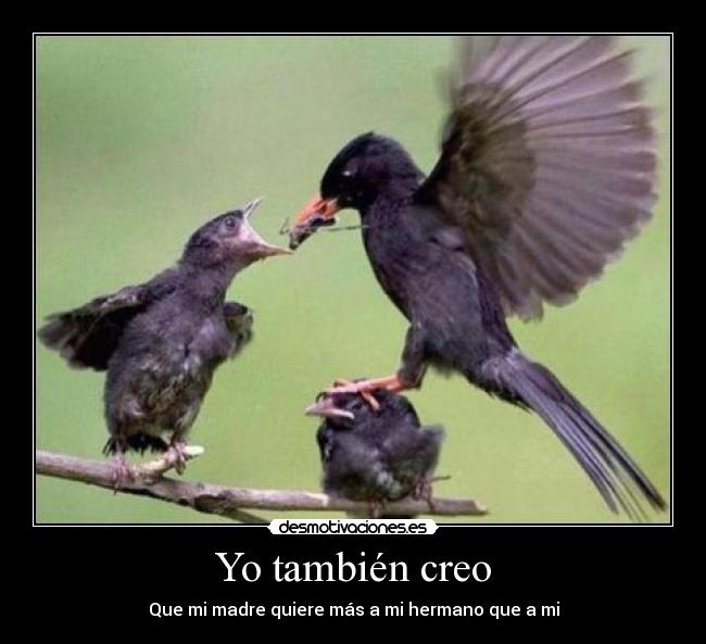 carteles pipas desmotivaciones