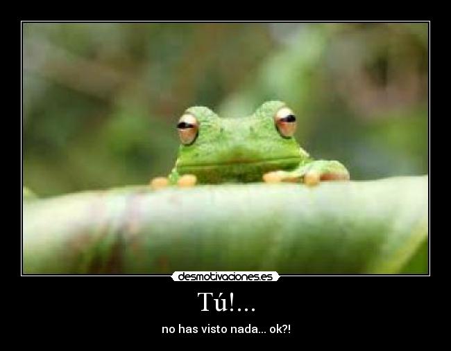 Tú!... - no has visto nada... ok?!
