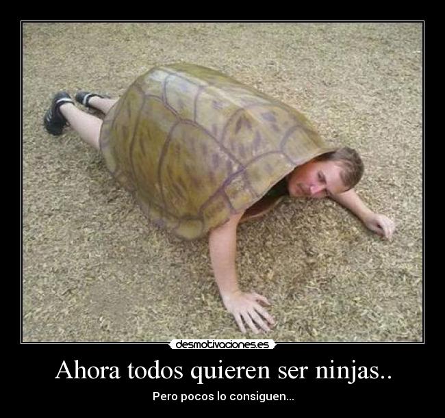 Ahora todos quieren ser ninjas.. - 