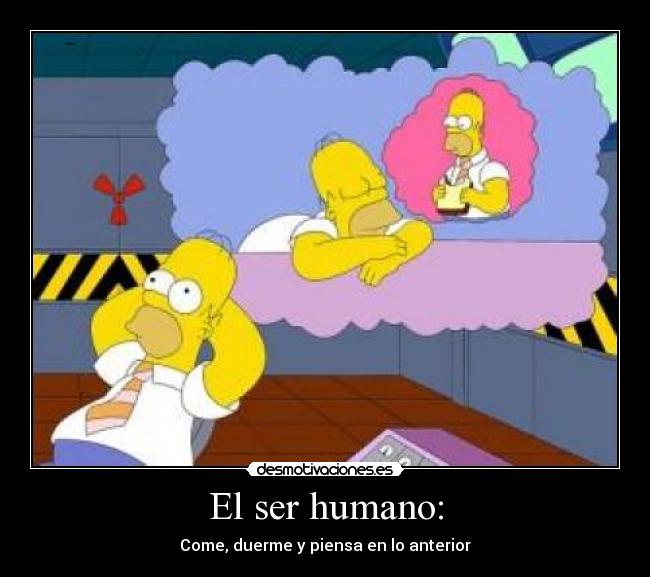 El ser humano: - 